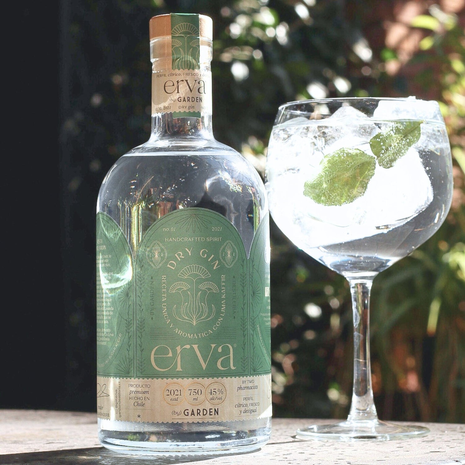 GIN Y AGUAS TÓNICAS