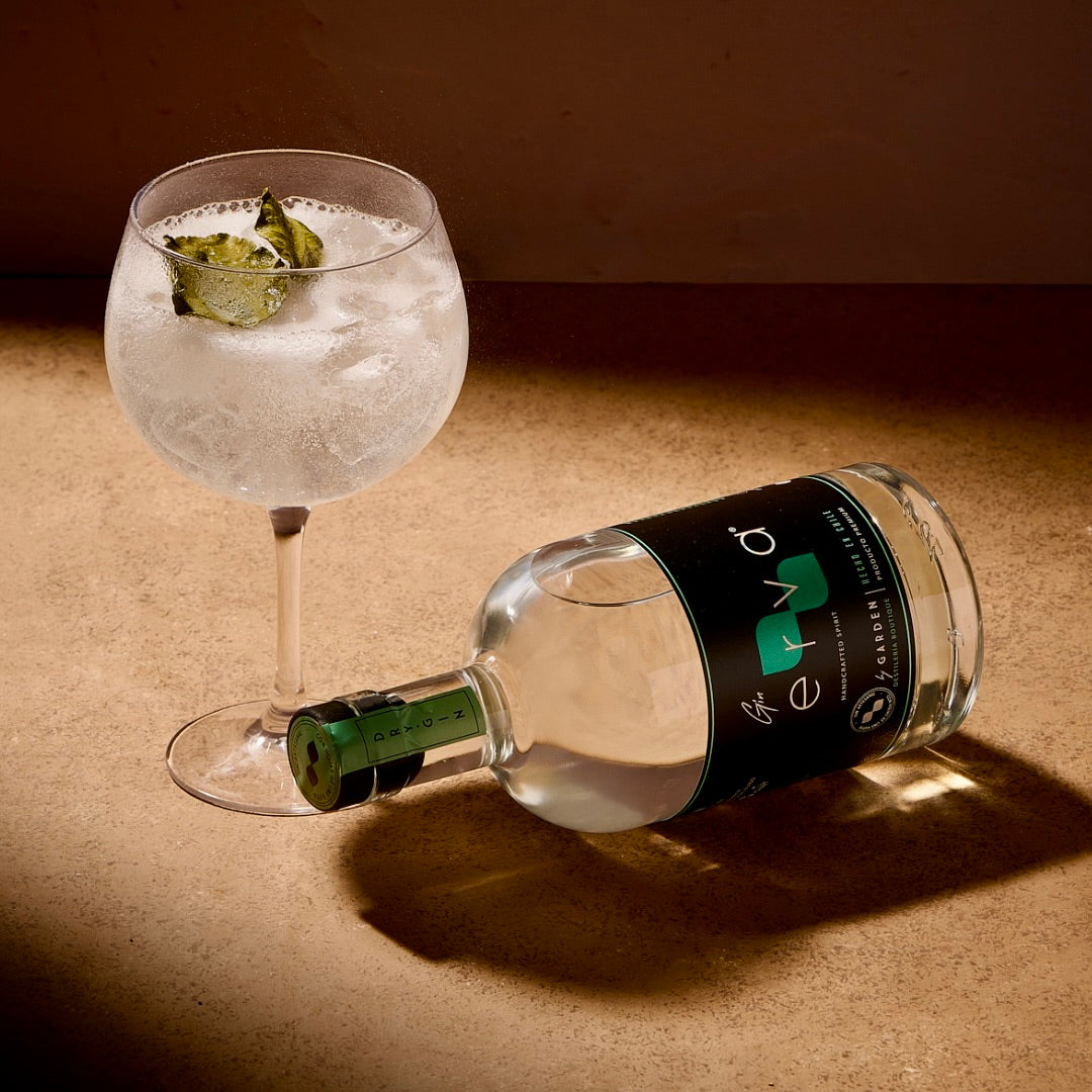 GIN Y AGUAS TÓNICAS